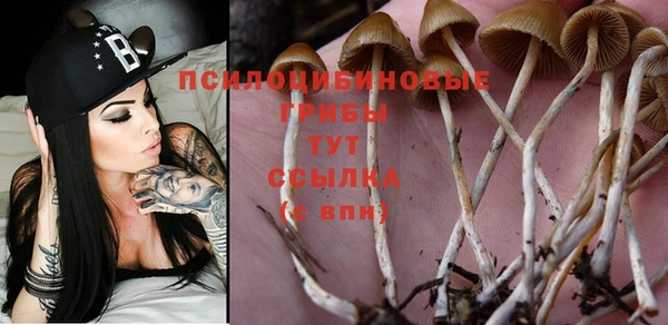 MDMA Premium VHQ Лиски