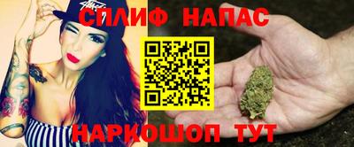 гидра Кинель