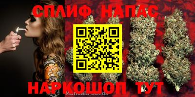 молекула духа Кандалакша