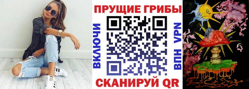 Галлюциногенные грибы GOLDEN TEACHER  Тихорецк 