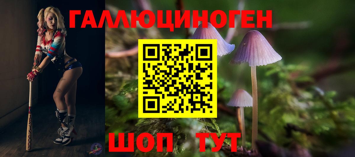Псилоцибиновые грибы прущие грибы Тихорецк